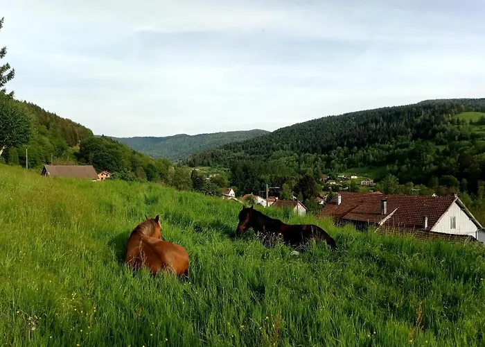 Gite De Famille Dans Les Vosges