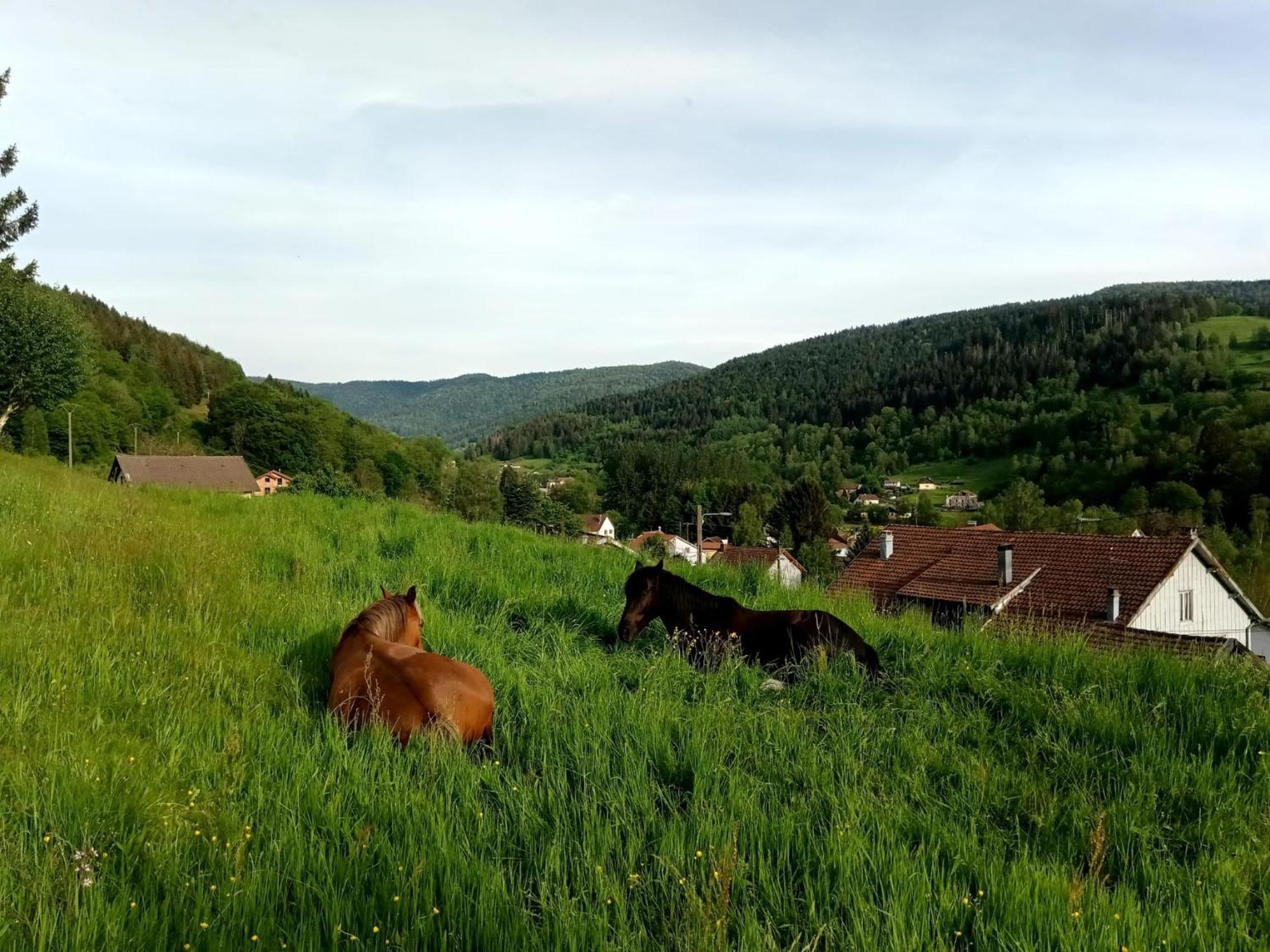 De Famille Dans Les Vosges Saint-Maurice-sur-Moselle