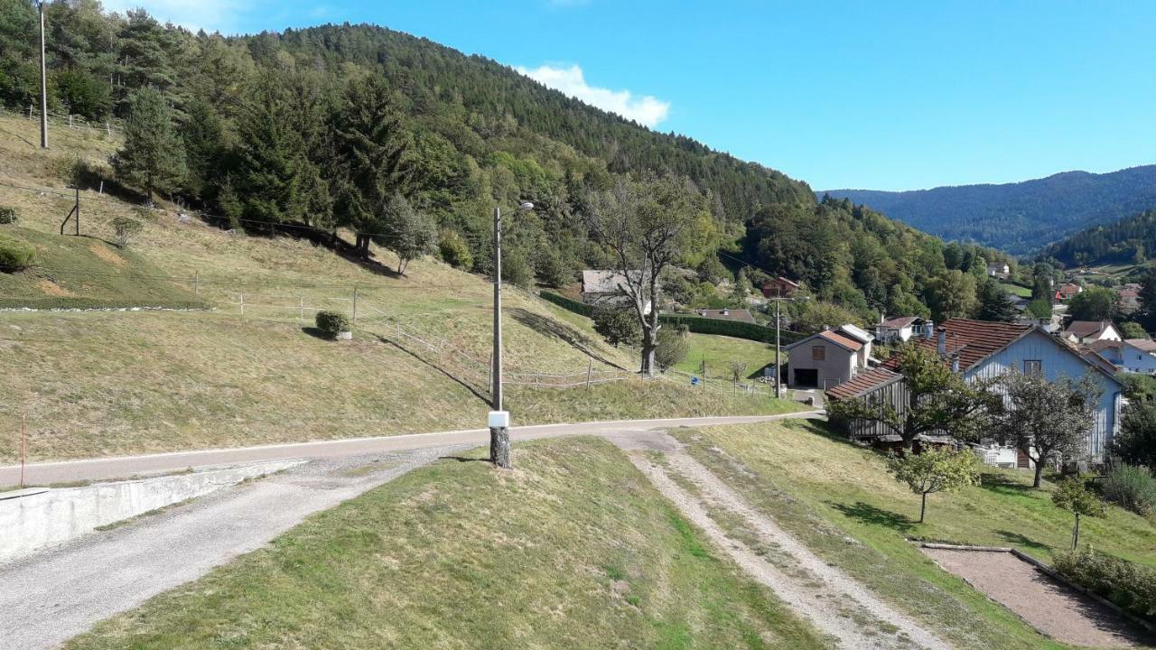 Apartment De Famille Dans Les Vosges