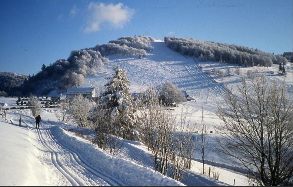 Apartment De Famille Dans Les Vosges
